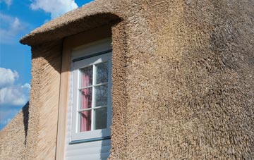 Barway thatch roof disadvantages